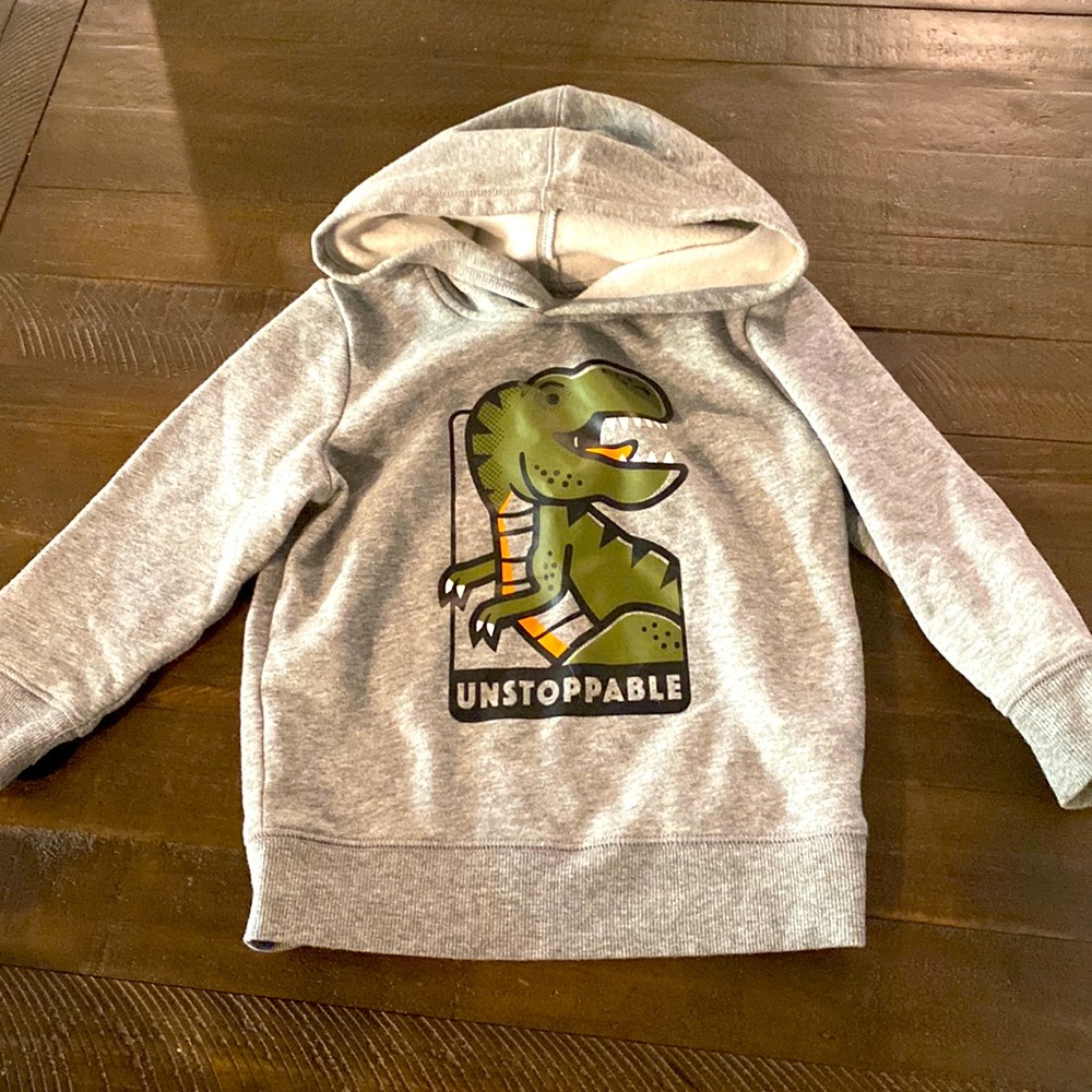 T-Rex dinosaur sweatshirt